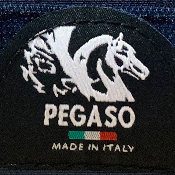 Pegaso