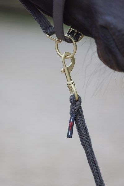 Lunghina per cavallo con moschettone vendita online - Medistore Variante  Lunghina classica