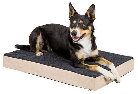 Letto per Cani in Memory Foam Brandina per Cani XXL120*80cm Grande Letto  per Cani Lavabile con Cerniera Rimovibile Fodera Anti Perdite d'Acqua