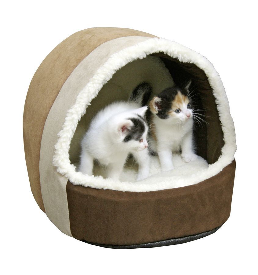 JOYLOVE 2021 nuova lettiera per gatti per animali domestici vassoio per  cacca di gatto completamente chiuso toilette per gatti forniture per  animali vendita calda - AliExpress