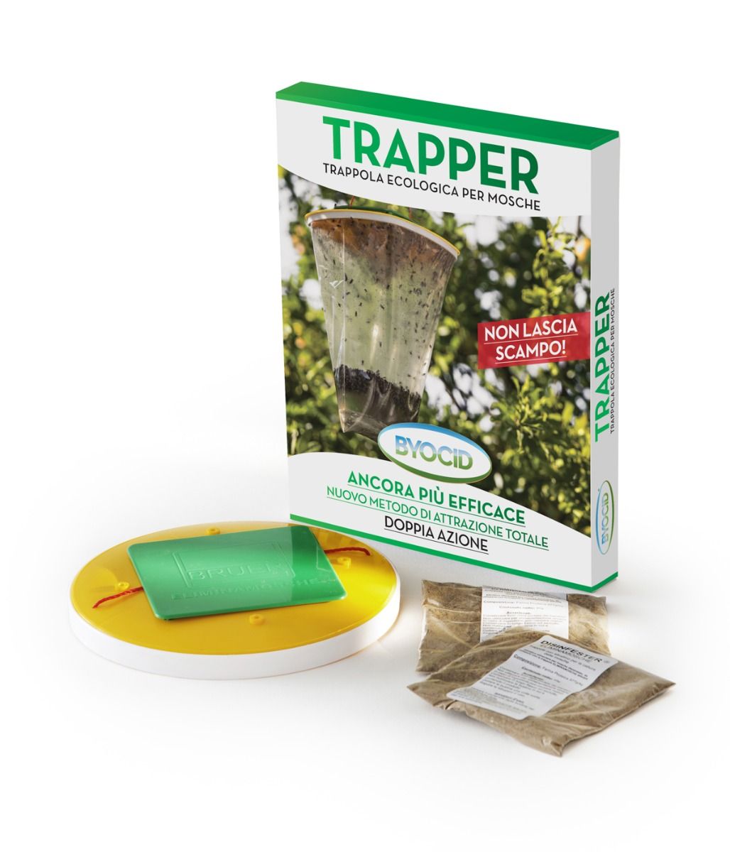 TANCUDER 40 Rotolini Acchiappamosche Carta Moschicida Trappole per Mosche  Strisce Adesive Insetti da Interno o Esterno Cattura Mosche Insetticida  Adesivo Atossica per Mosche, Insetti, Zanzare e Falene : :  Giardino e giardinaggio