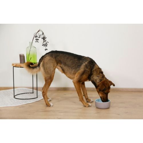 CIOTOLA PER CANI IN CERAMICA SPIRIT CAPACITA' 500ML