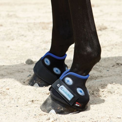 MAGNETIK HOOF BOOT VEREDUS