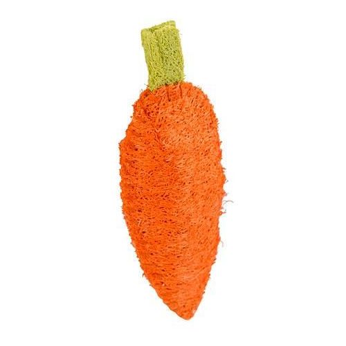 CAROTA IN LUFFA DIMENSIONI 10 CM