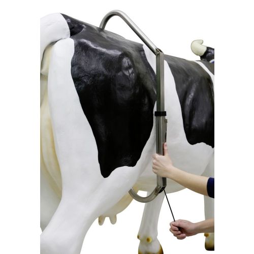 ANTISCALCIO FLEXCOW AUTOMATICO IN ACCIAIO INOX