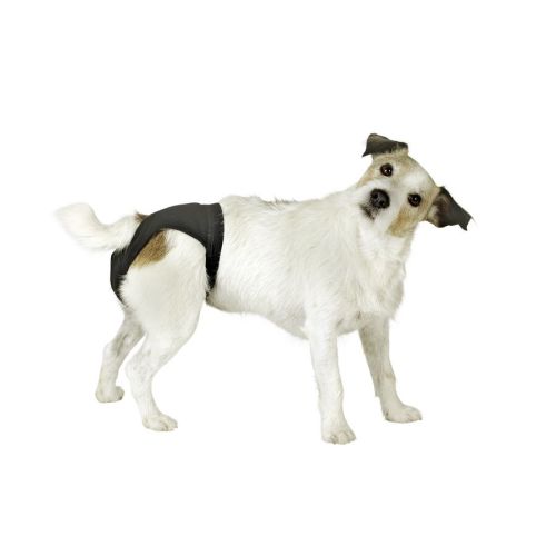 PANTALONCINO PER CANI LUXUS 38-45 CM