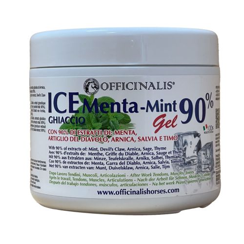 OFFICINALIS ICE GEL GHIACCIO 90% MENTA-MINT DA 500ML