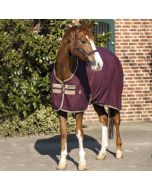 HORSEWARE COPERTA IN COTONE AMIGO STABLE SHEET