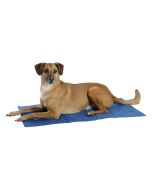 TAPPETINO RAFFREDDANTE PER CANI COOL-RELAX, 50 x 90 CM COLORE BLU