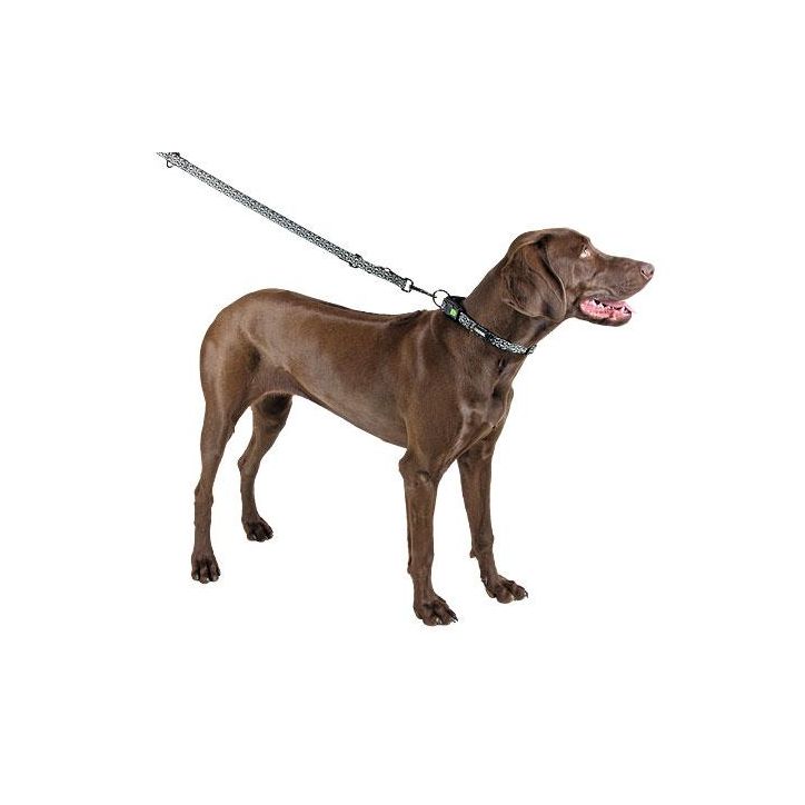 COLLARE FOSFORESCENTE PER CANI SHINY NIGHT, CIRCONFERENZA COLLO 20 - 40 CM