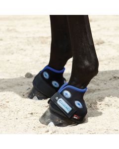 MAGNETIK HOOF BOOT VEREDUS