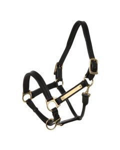 HORSEWARE CAPEZZA IN CUOIO AMIGO PADDED HEADCOLLAR