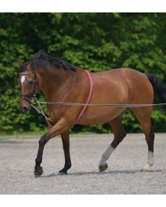 REDINI AUSILIARIE PER LONGIA WALDHAUSEN