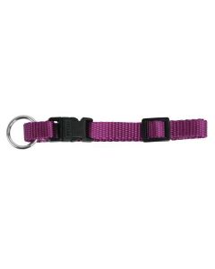 COLLARE PER CANI MIAMI VIOLA 10 MM 20-35 CM