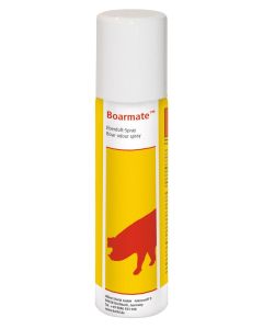 SPRAY PER VERRI BOARMATE 80ML