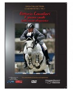 DVD EQUITAZIONE - VITTORIO CAVALIERI - IL GIOVANE CAVALLO, DALLA NASCITA ALL'AGONISTICA -  HORSE SCOUT SERVICE, VOL. 7