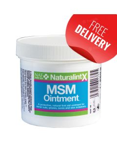 NAF NATURALINTX MSM OINTMENT 250 GR