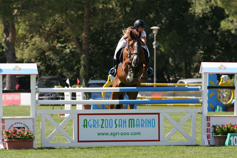 Recinto Elettrico - Il mondo Agrizoo - Agri Zoo - Zootecnica e Tutto per il  Cavallo