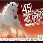 Mostra Nazionale del cavallo Città di Castello